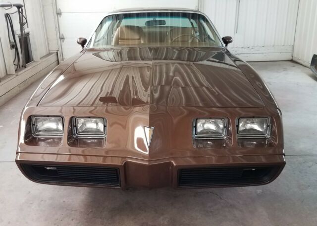 1979 Pontiac Firebird Esprit - photo 3