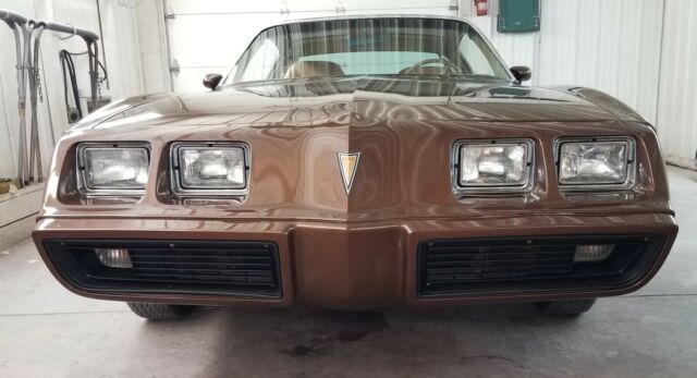1979 Pontiac Firebird Esprit - photo 4