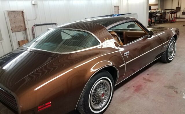 1979 Pontiac Firebird Esprit - photo 6