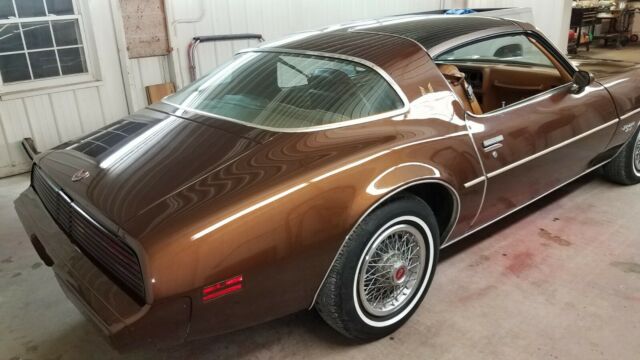 1979 Pontiac Firebird Esprit - photo 7