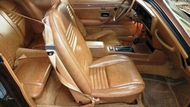 1979 Pontiac Firebird Esprit - photo 9