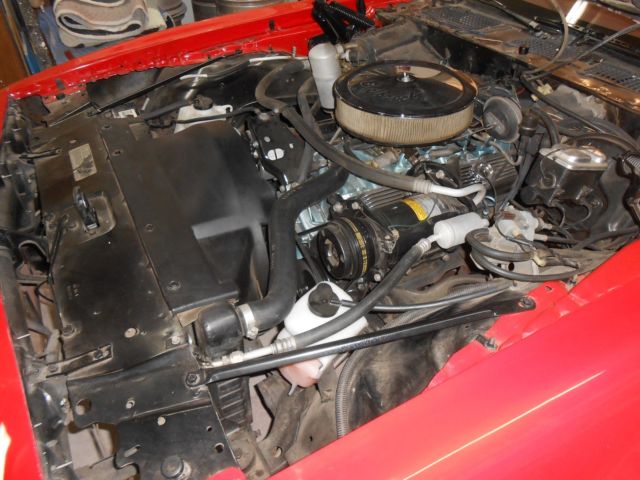1979 Pontiac Firebird RED BIRD - photo 10