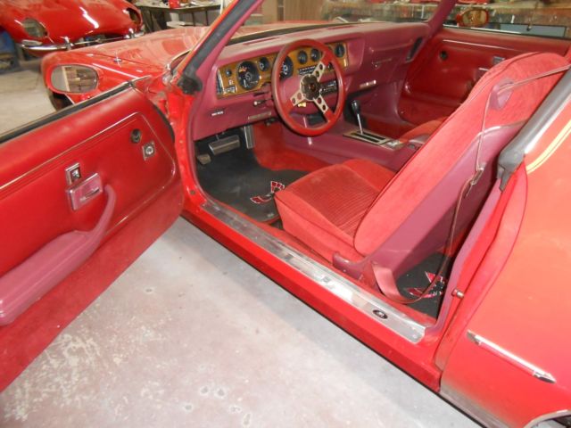 1979 Pontiac Firebird RED BIRD - photo 3