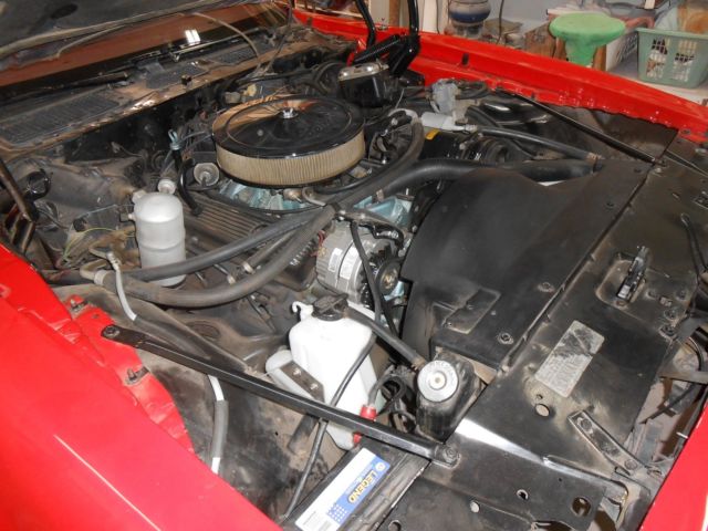 1979 Pontiac Firebird RED BIRD - photo 4