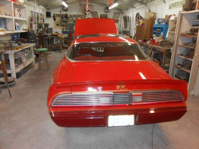1979 Pontiac Firebird RED BIRD - photo 5