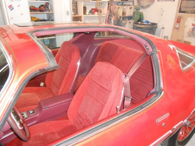 1979 Pontiac Firebird RED BIRD - photo 6