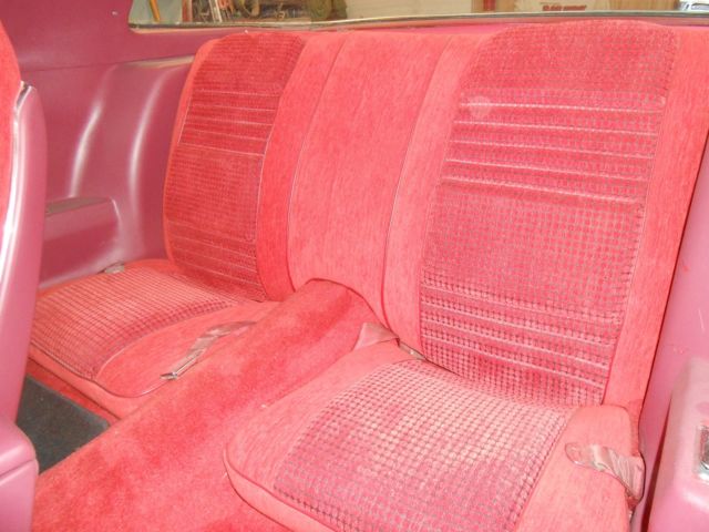 1979 Pontiac Firebird RED BIRD - photo 9