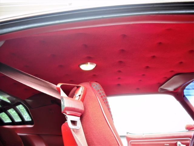 1979 Pontiac Firebird RED BIRD EDITION - photo 13