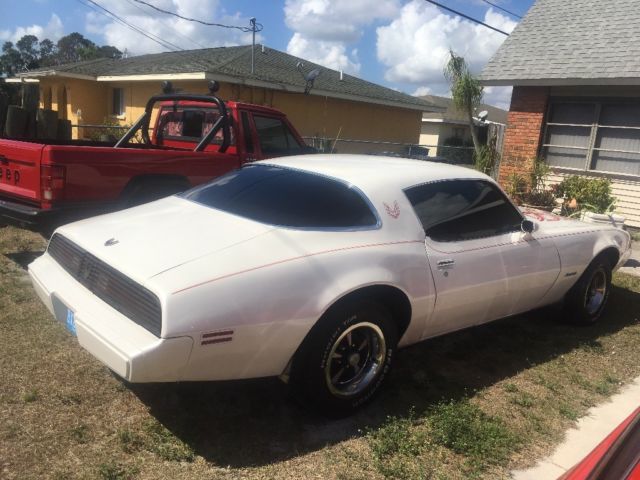 1979 Pontiac Firebird - photo 3