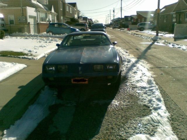 1979 Pontiac Firebird Base - photo 3
