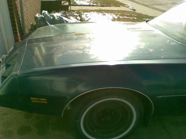 1979 Pontiac Firebird Base - photo 5