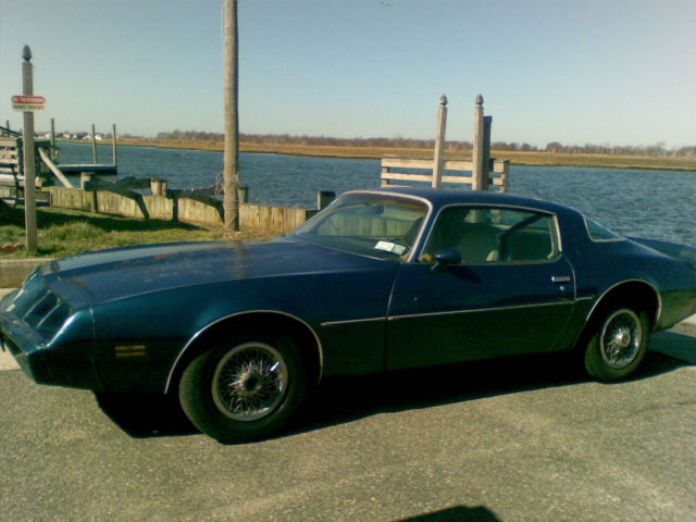 1979 Pontiac Firebird Base Model - photo 5