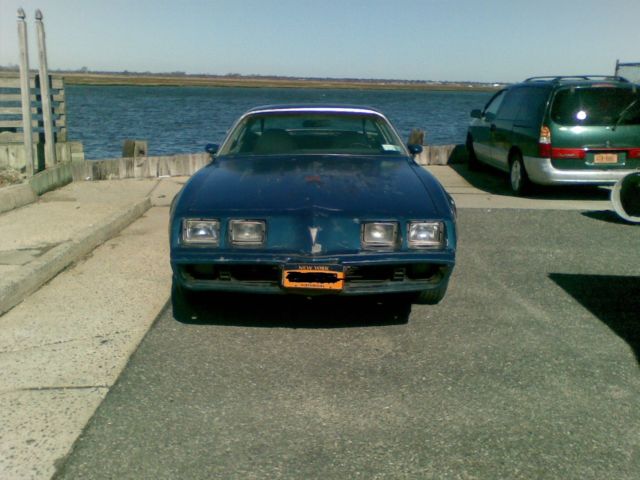 1979 Pontiac Firebird Base Model - photo 7