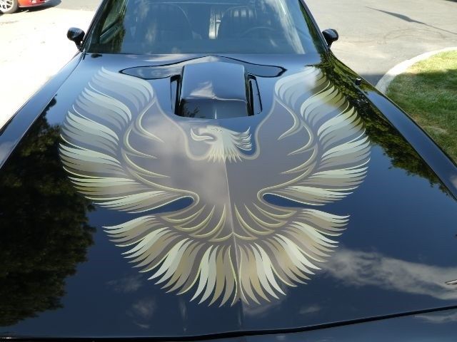 1979 Pontiac Firebird Trans am - photo 9