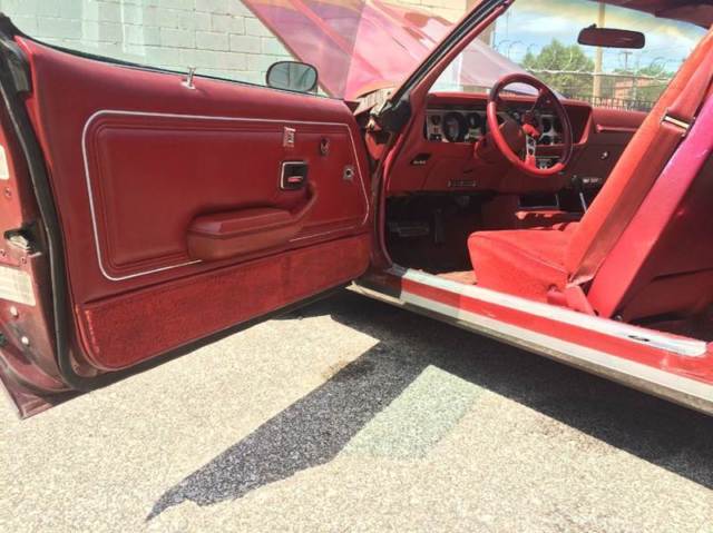 1979 Pontiac Firebird Formula - photo 11