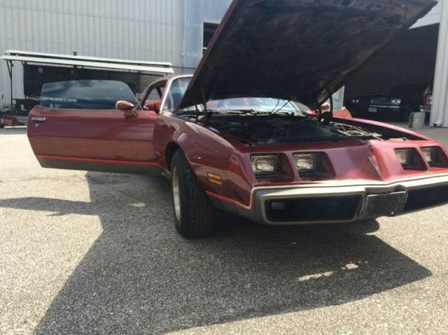 1979 Pontiac Firebird Formula - photo 7