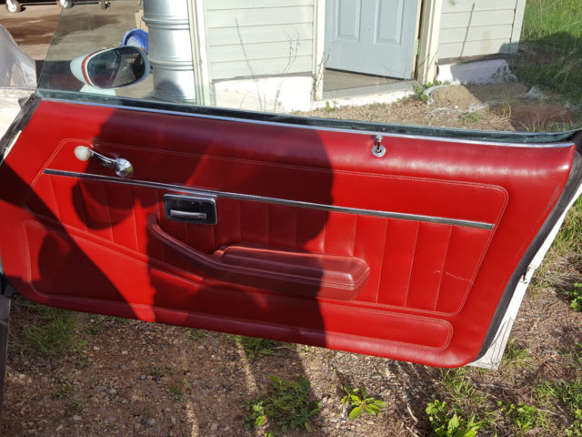 1979 Pontiac Firebird Formula - photo 10