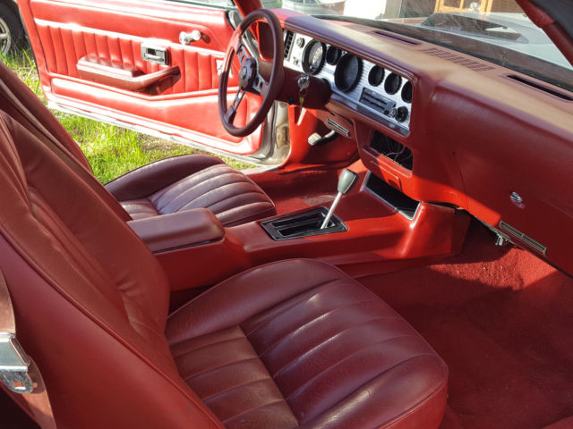 1979 Pontiac Firebird Formula - photo 11