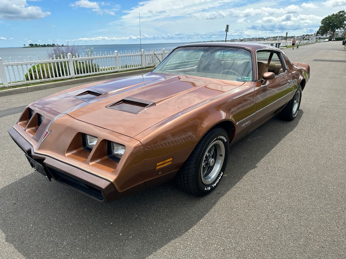 1979 Pontiac Firebird FORMULA - photo 10