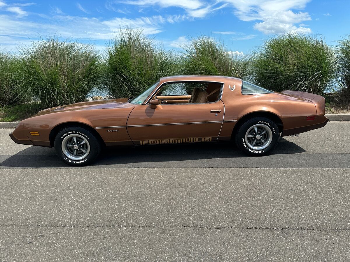 1979 Pontiac Firebird FORMULA - photo 13