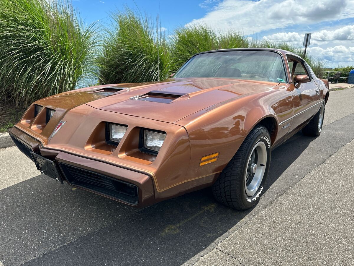 1979 Pontiac Firebird FORMULA - photo 2