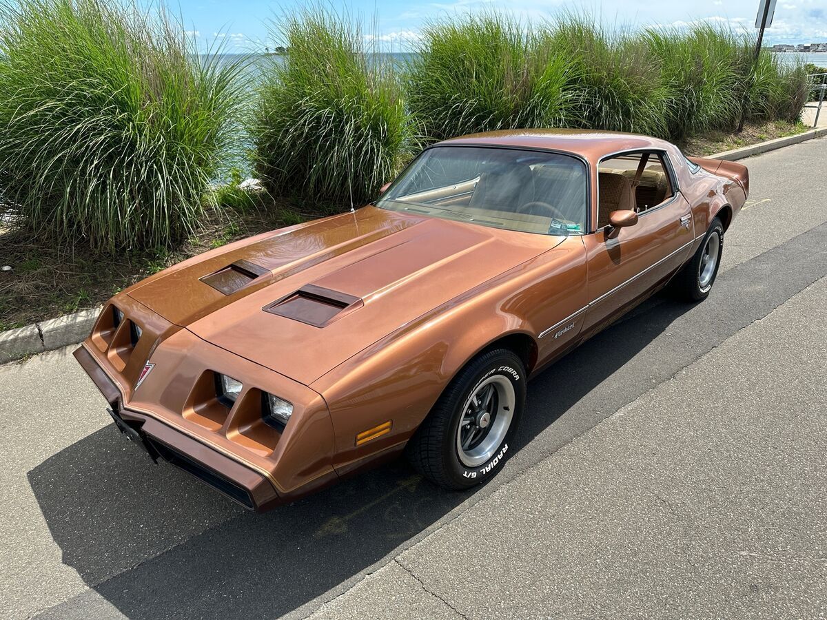 1979 Pontiac Firebird FORMULA - photo 4