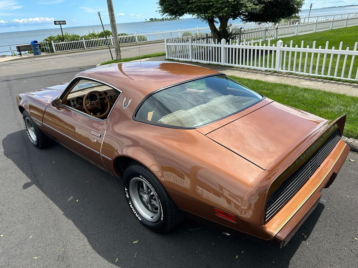 1979 Pontiac Firebird FORMULA - photo 5