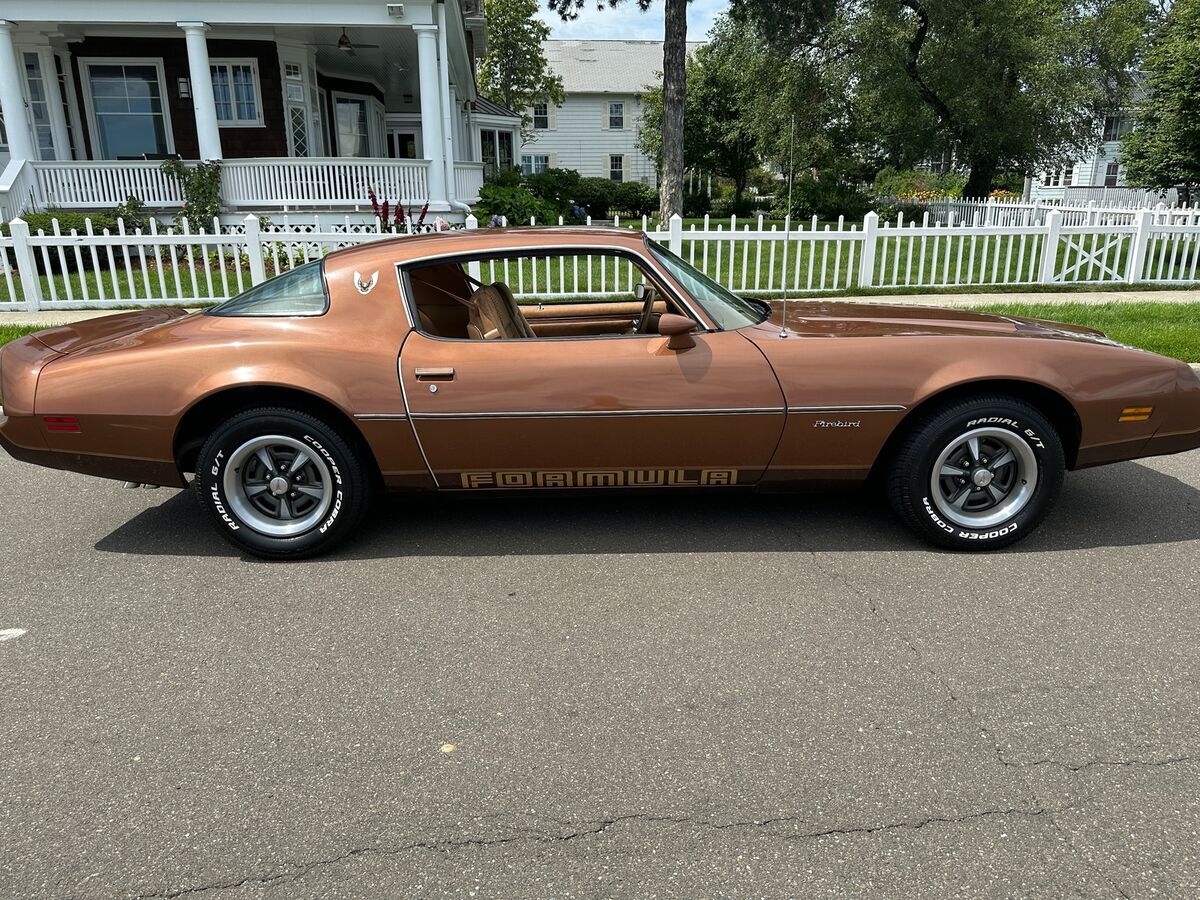 1979 Pontiac Firebird FORMULA - photo 7