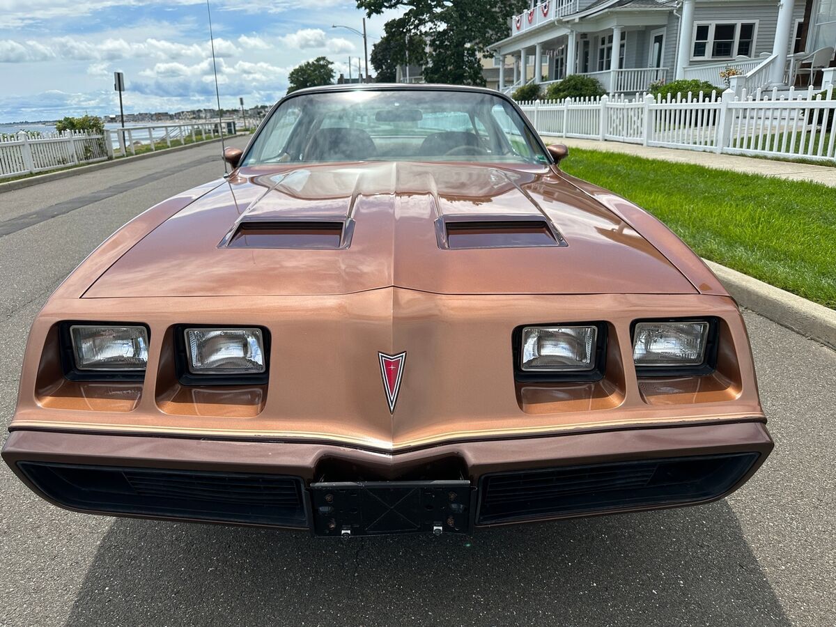 1979 Pontiac Firebird FORMULA - photo 9