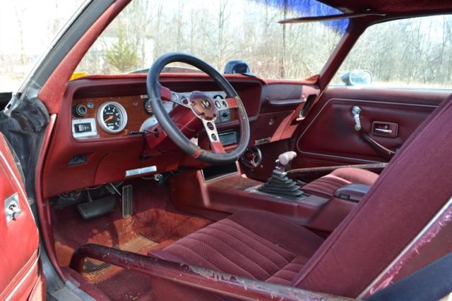 1979 Pontiac Firebird 2dr - photo 12