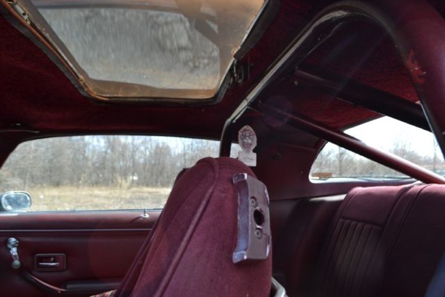 1979 Pontiac Firebird 2dr - photo 13