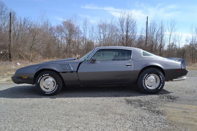 1979 Pontiac Firebird 2dr - photo 2