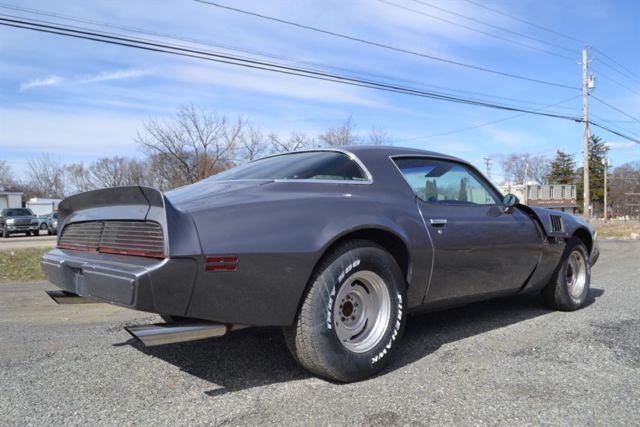 1979 Pontiac Firebird 2dr - photo 6