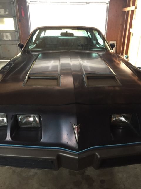 1979 Pontiac Firebird Formula 400 - photo 5