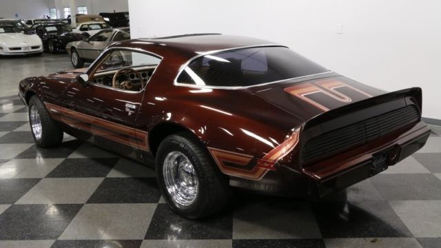 1979 Pontiac Firebird Formula 400 - photo 11