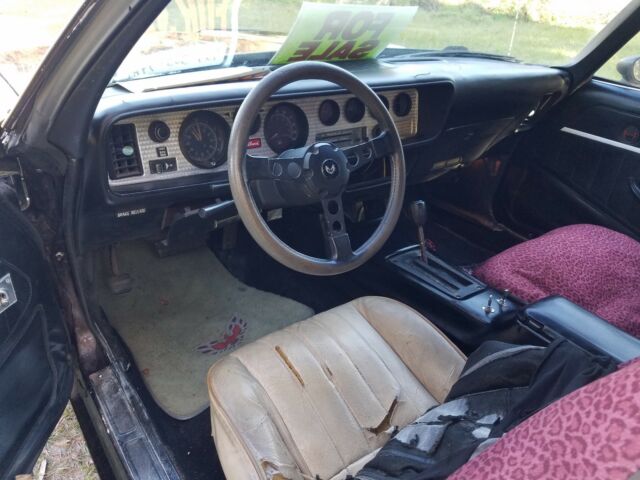 1979 Pontiac Firebird Formula - photo 10