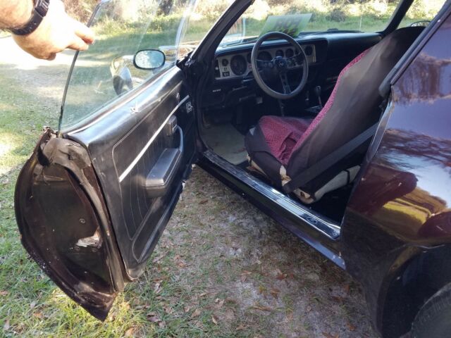 1979 Pontiac Firebird Formula - photo 11