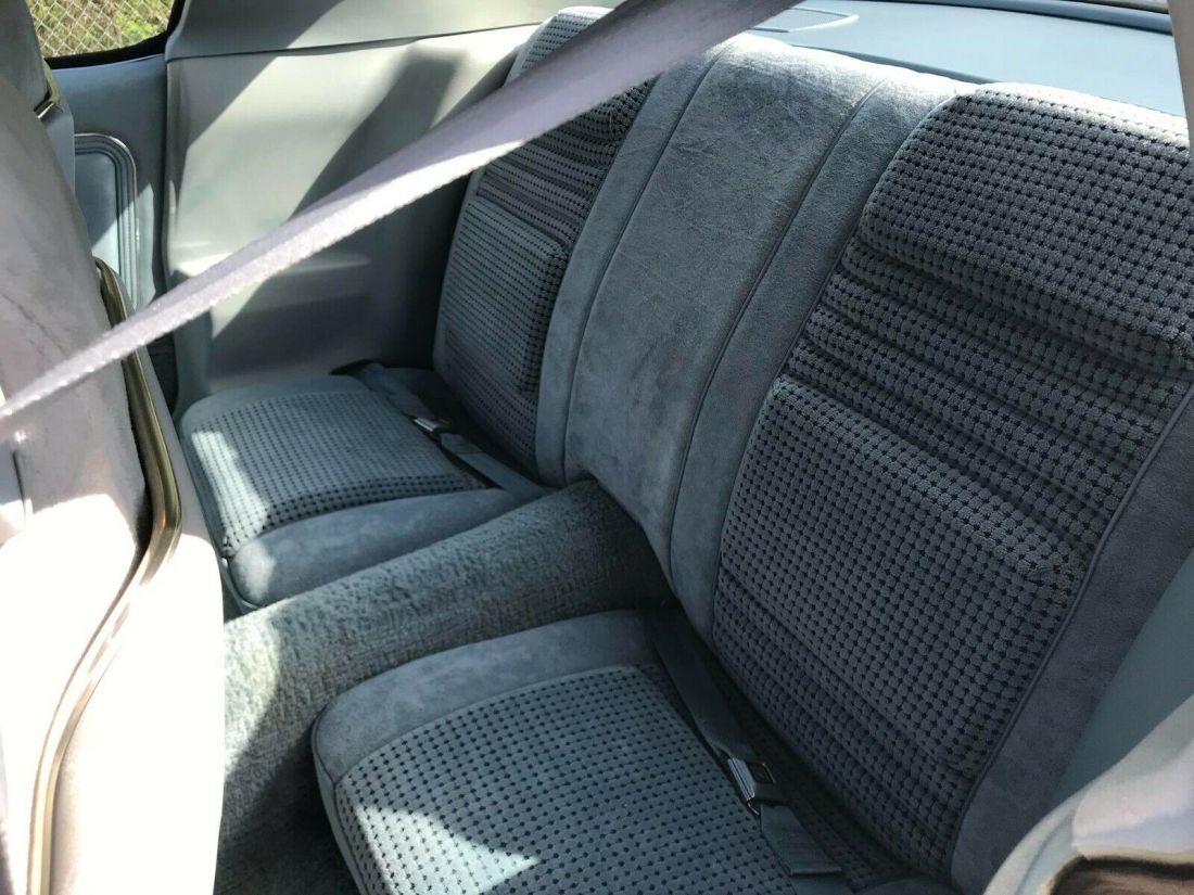 1979 Pontiac Firebird Formula - photo 4