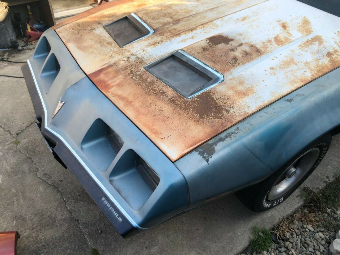 1979 Pontiac Firebird - photo 11