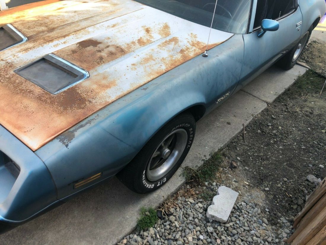 1979 Pontiac Firebird - photo 12