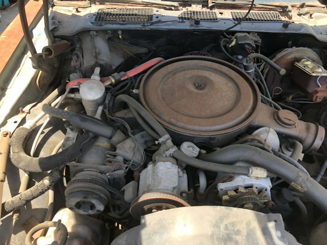 1979 Pontiac Firebird - photo 3