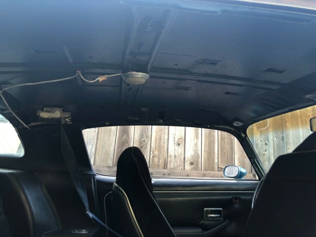 1979 Pontiac Firebird - photo 5