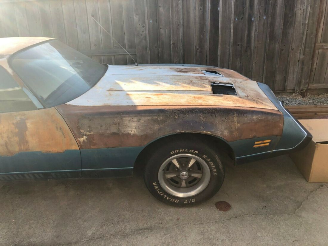 1979 Pontiac Firebird - photo 6