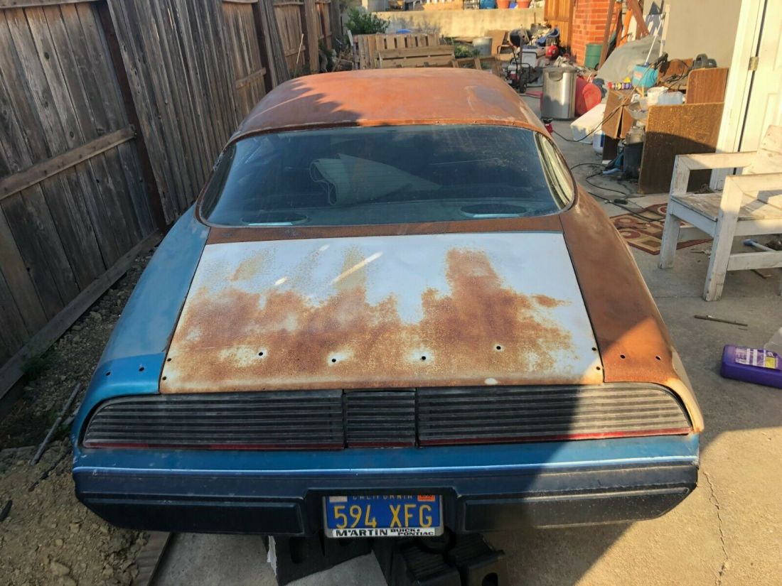 1979 Pontiac Firebird - photo 7