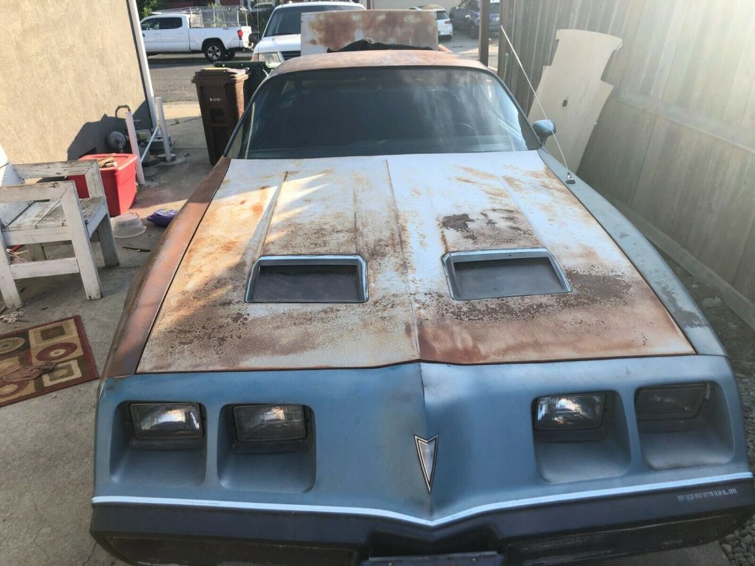 1979 Pontiac Firebird - photo 8