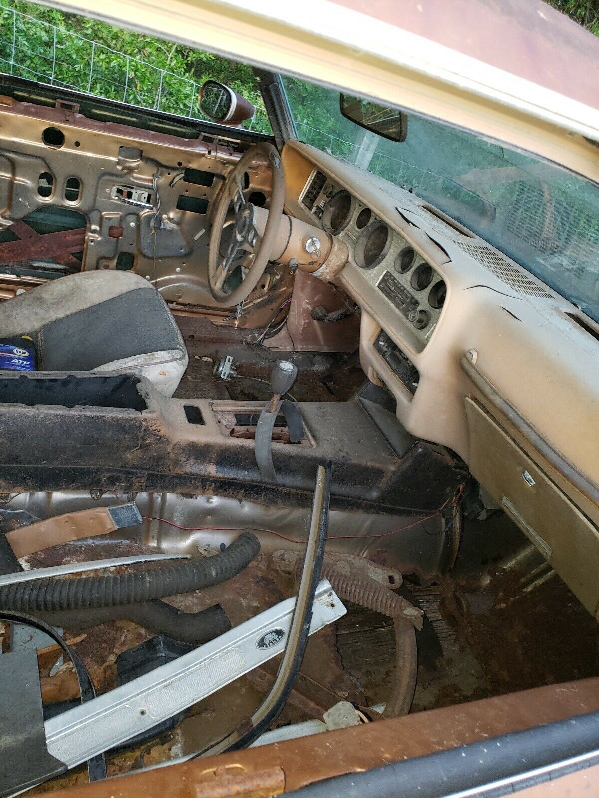 1979 Pontiac Firebird Formula - photo 11