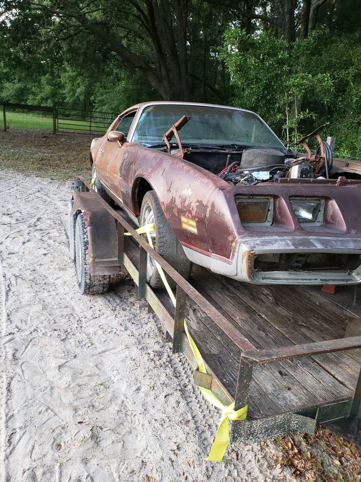 1979 Pontiac Firebird Formula - photo 2