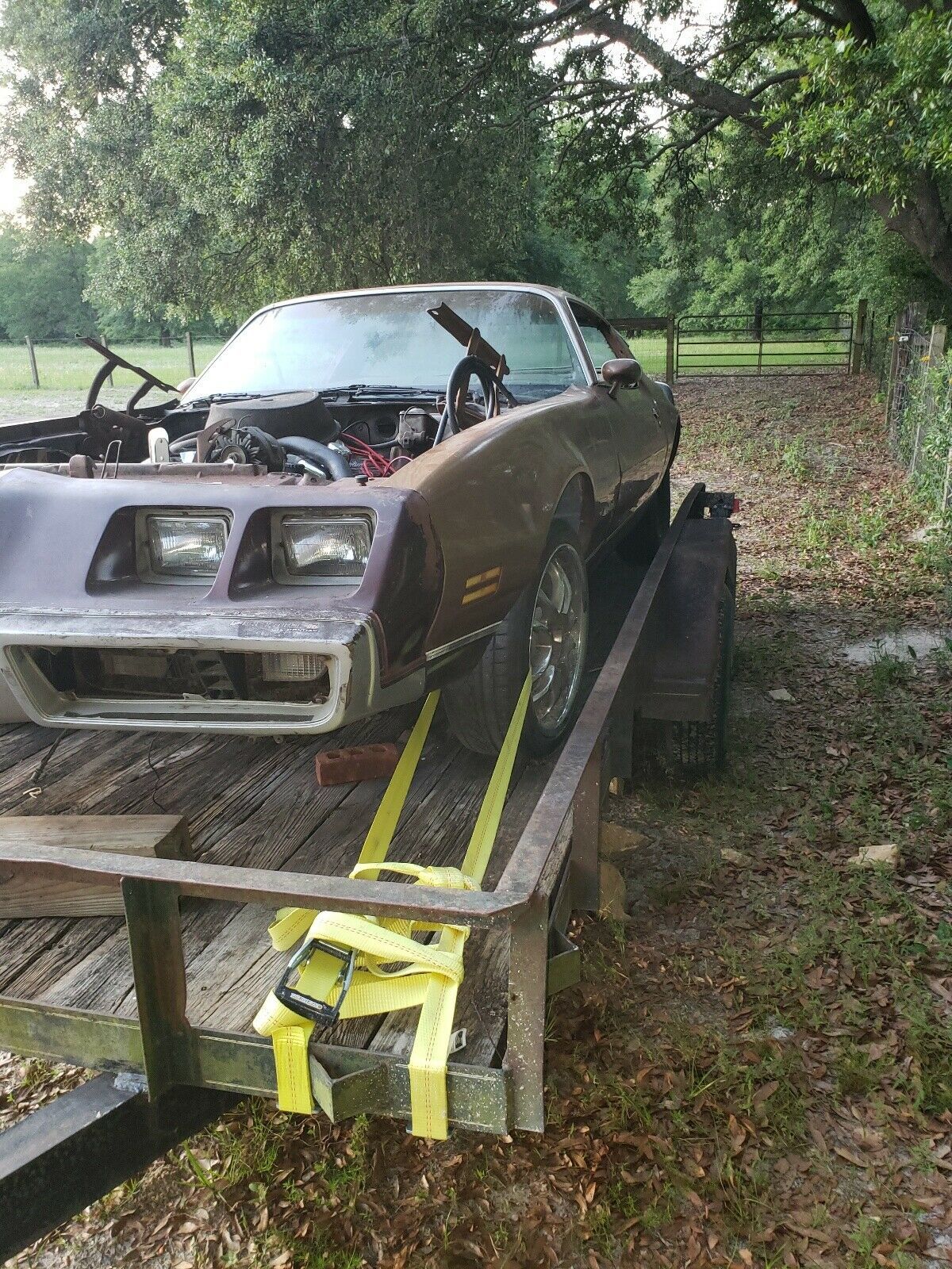 1979 Pontiac Firebird Formula - photo 3
