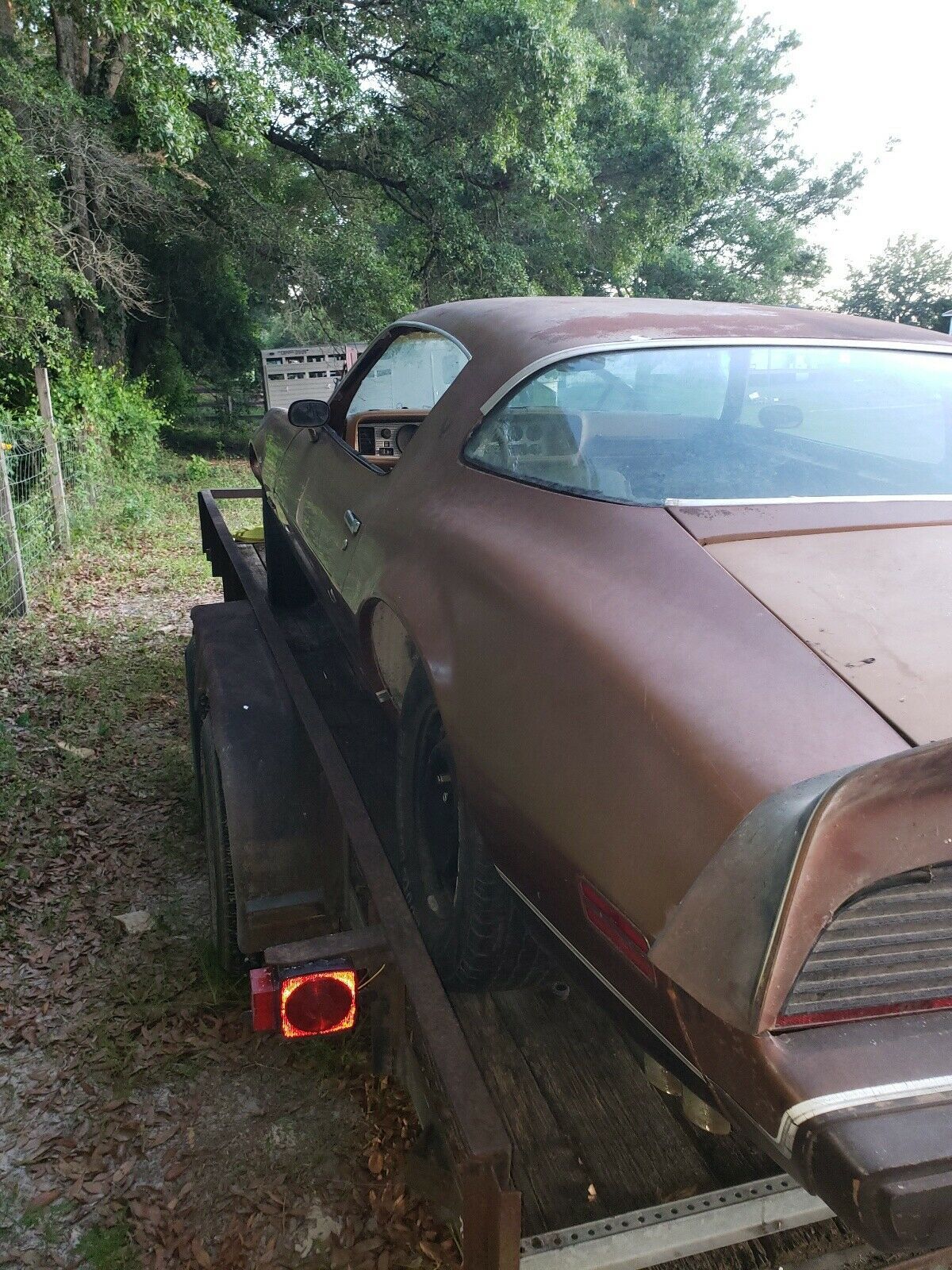 1979 Pontiac Firebird Formula - photo 5