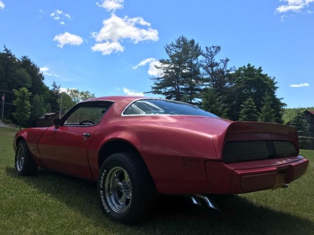 1979 Pontiac Firebird - photo 7